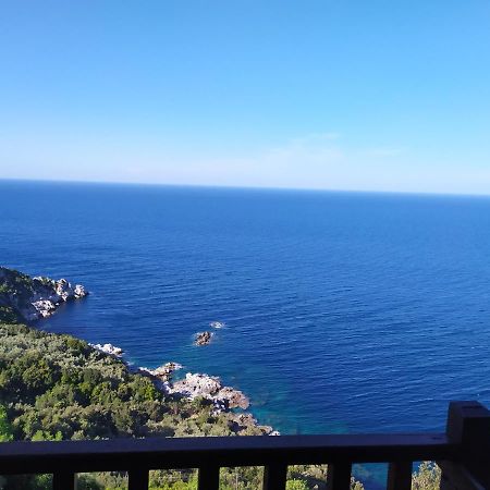 Double Studio Room In Mylopotamos With Beautifull View ツァガラダ エクステリア 写真